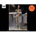 SCHELETRO 160CM LUCI E SUONI IN MOVIMENTO RICHIUDIBILE IN PLASTICA DURA ARTICOLO SCHERZOSO DECORATIVO PER DI HALLOWEEN